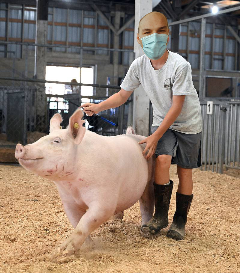 3d printed pig standing next to owner, who is a photoshopped picture of a person wearing a surgical mask in a barn